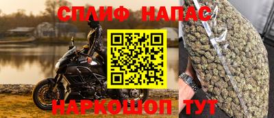 сатива Малоярославец
