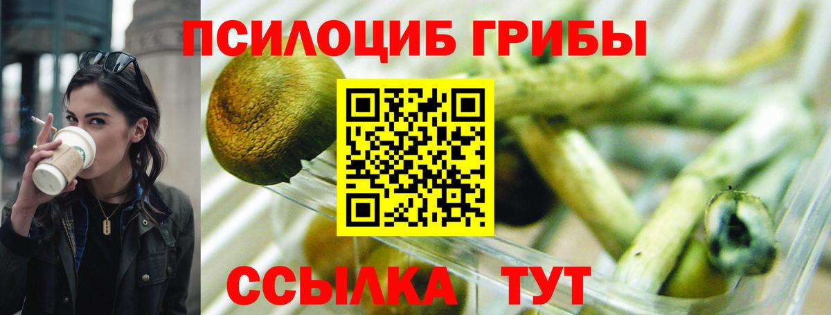 Галлюциногенные грибы Psilocybine cubensis Удомля